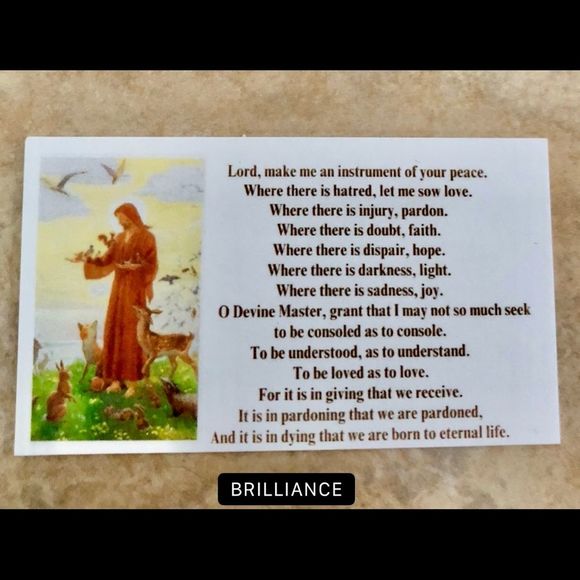 ST FRANCIS NECKLACE &CARDS SAVES PETS IN HIGH KILL S… - Picture 7 of 9